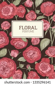 Floral flyer or poster template decorated by red English rose flowers on dark background. Botanical realistic vector illustration in vintage style for organic perfume or fragrance advertisement.