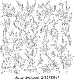 Floral foliage hand drawn botanical nature illustration 03 03 