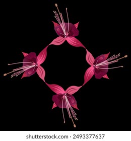 Floral frame with blooming flowers of purple fuchsia plant. On black background. 