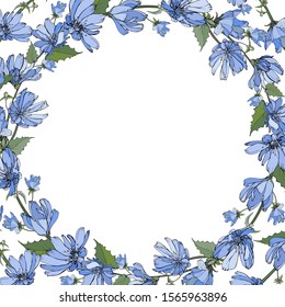 Floral frame with blue flowers chicory, green leaves on white with place for your text. Hand drawn. Background for wedding invitations, cards, textile, posters, web page. Vector stock illustration.