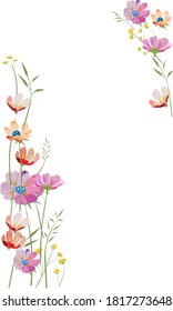Floral Frame and border background template