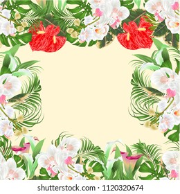 Floral  frame  bouquet with tropical flowers  floral arrangement, with beautiful white orchids ,lili, palm,philodendron  vintage vector illustration  editable hand draw