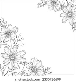 Floral frame. Cosmos bipinnatus flowers. Black and white line art backgrounds. 