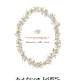 floral frame with cowberry, hand drawn template. Lingonberry background