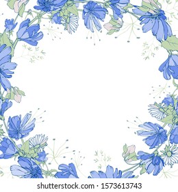 Floral frame of cute wildflowers on white background. Border of blue flowers chicory, green leaves. Copy space. For your design, greeting cards, invitation. Vector stock illustration.
