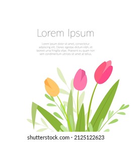 Floral frame, delicate tulips. Poster, template with text. Hand drawn vector illustration, isolated on white background