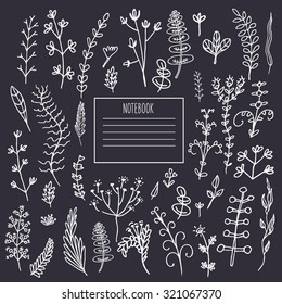Floral frame graphic set