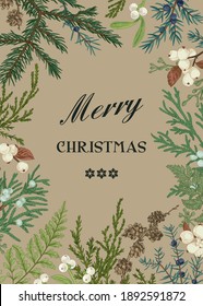 Floral frame with green plants. Vector botanical illustration. Spruce, juniper, mistletoe, fern, larch. Merry Christmas. Craft.