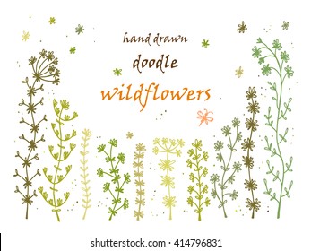 Floral frame. Hand drawn doodle Wild Flowers. Floral Set - Vector illustration. Floral background. Wildflowers. Flowers. Green Grass. Invitation card template