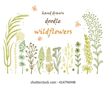 Floral frame. Hand drawn doodle Wild Flowers. Floral Set - Vector illustration. Floral background. Wildflowers. Flowers. Green Grass. Invitation card template