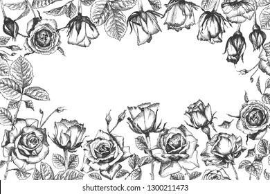 Floral frame. Hand drawn sketch of roses, leaves and branches Detailed vintage botanical illuatration. Black silhouette isollated on white background Creative graphic art in engraving style