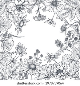 Floral frame with hand drawn wildflowers and plants. Monochrome vector illustration in sketch style.