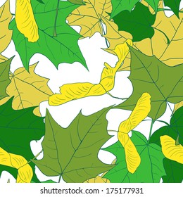 floral frame with leaves of maple, vector illustration