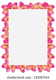 Floral frame made from plumeria, frangipani flowers.