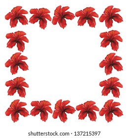 Floral frame made from red hibiscus flowers on white background.
