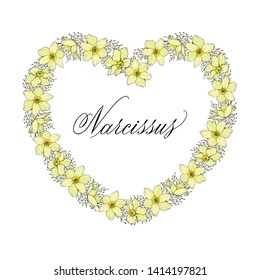 Floral frame with Narcissus. Floral greeting card or invitation.  Narcissus  hand written in copperplate script