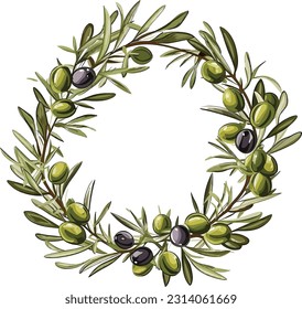 Floral frame of olive branches, isolated on white, vector