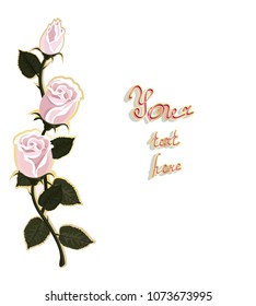 Floral frame with pink roses isolated on a white background.Vector.