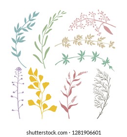 Floral Frame Set Component