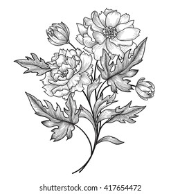 Floral frame set with summer flowers. Floral bouquet with rose. Vintage Greeting Card with flowers  Flourish border. Floral background.
