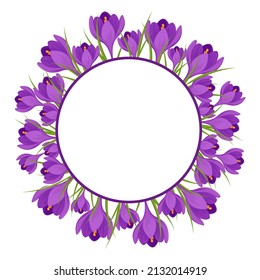 Floral frame with space for text. A wreath of purple crocuses. Vector