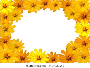 Floral frame of a square border with yellow flowers,  isolated on white background. Abstract Background Texture Illustration, Flat lay, top view, copy space, banner, element for design
