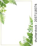 Floral frame template with forest herbs. Green leaves border with place for text. Vector illustration.