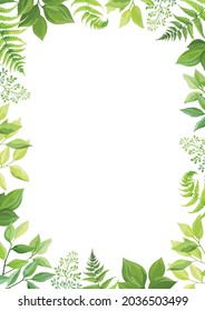 Floral frame template with forest herbs. Green leaves border with place for text. Vector illustration.