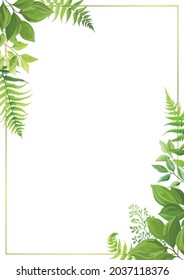 Blumenrahmen-Vorlage mit Waldkräutern. Grün lässt Rand mit Platz für Text. Vektorgrafik.