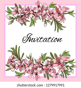 Floral frame for text with pink flowers for invitations, cards, greetings on a white background. Vector hand-drawn illustration.