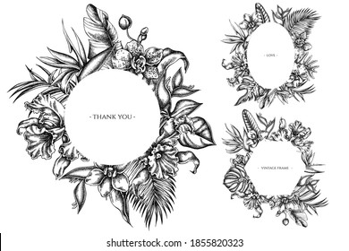 Floral frames with black and white monstera, banana palm leaves, strelitzia, heliconia, tropical palm leaves, orchid