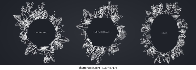 Floral frames with chalk laelia, feijoa flowers, glory bush, papilio torquatus, cinchona, cattleya aclandiae