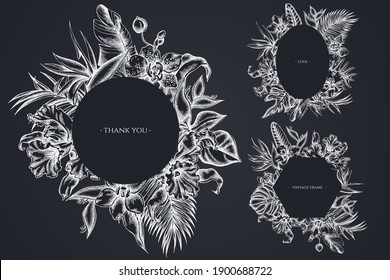 Floral frames with chalk monstera, banana palm leaves, strelitzia, heliconia, tropical palm leaves, orchid