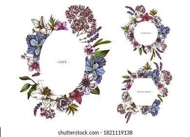 Floral frames with colored anemone, lavender, rosemary everlasting, phalaenopsis, lily, iris