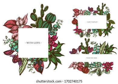 Floral frames with colored ficus, iresine, kalanchoe, calathea, guzmania, cactus