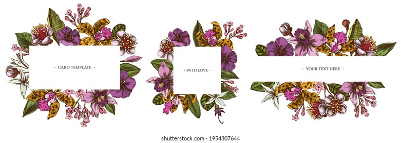 Floral frames with colored laelia, feijoa flowers, glory bush, papilio torquatus, cinchona, cattleya aclandiae