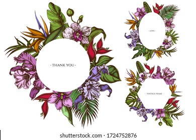 Marcos florales con monstera de colores, hojas de palma de plátano, estrelitzia, heliconia, hojas de palma tropicales, orquídea
