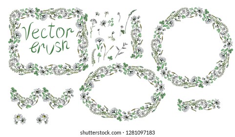 Floral frames and design elements, vector brush.