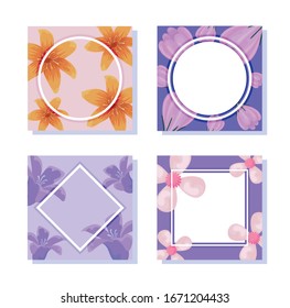 floral and frames icon set over white background, colorful design, vector illustration