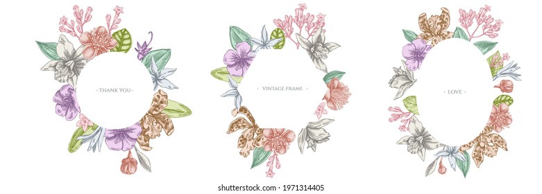 Floral frames with pastel laelia, feijoa flowers, glory bush, papilio torquatus, cinchona, cattleya aclandiae