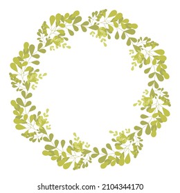 Floral Frames Round Shape Green Branches Leaves Botanical Illustration Wedding, birthday, Valentine's Day symbols, greeting card design. Vector illustration