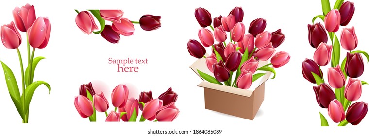 Floral frames with tulips on white background