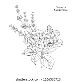 Floral garland of hydrangea. Vector illustration