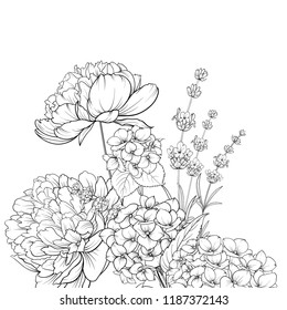 Floral garland of lavender and hydrangea isolated over white background. Spring bouquet of flowers in line sketch style. Vector illustration