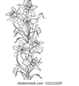 Floral garland seamless pattern. Flower engraving background. Vegetation tile ornamental vertical floral border with flowers daffodil. Spring nature. Flourish garden sketch.