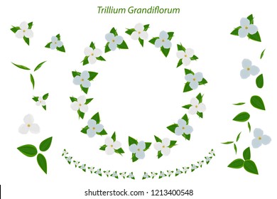 Floral garland, floral wreath. Trillium Grandiflorum. Large white trillium. Ohio state wild flower. Objects isolated on white background.