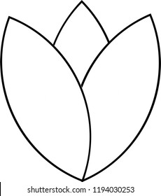 Floral Geometric Pattern