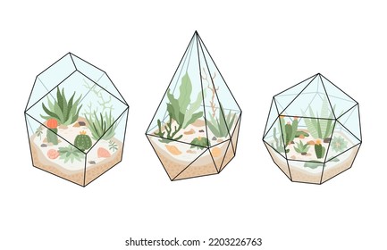 Floral geometric terrarium set. Florarium with cactuses, succulents, leaves, branches, stones and seashells decoration on sand. Exotic small house plant, home mini garden. Vector illustration.