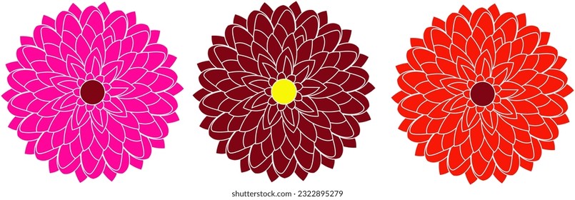 Conjunto floral de gerbera, vector aislado. Colección de gerberas rojas. Diseño floral rojo para invitación, boda, tarjeta, vacaciones, verano diseño