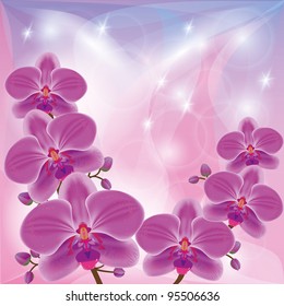 Floral glowing background with exotic flowers orchids, decorated stars and circles